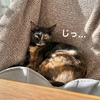 おもちゃ誤飲のその後。