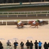産地直走🏇