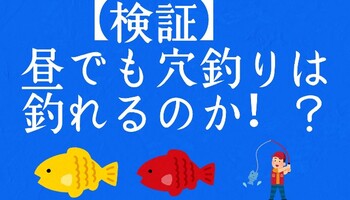 【検証】昼でも穴釣りは釣れるのか！？