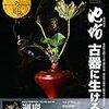 目の眼　2017年12月号　No.495　池坊555年 古器に生ける