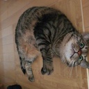 頭悪い奴がブログを書くとこうなる