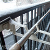 雪積もりましたと今の新入りさん