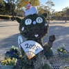 石人の星公園のウナギドッグ 2025年1月「巳年」