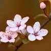 2月7日　金