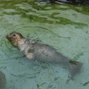 tabizarashi’s blog