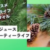 松の葉のジュース　美容と健康の爽やか体験