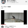 1000人の方ありがとう。