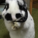 思いつくままに雑記