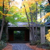 東京都小金井市　滄浪泉園の紅葉