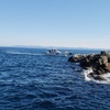 2018年釣り納め！長崎県樺島貝瀬
