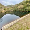 浦伐池（愛媛県大三島）