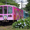 近江鉄道 2024　7/12-13
