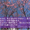 第20回　「夫の直腸がん闘病生活と寄り添う妻(10歳のマリア）」～夫の誕生日～、～見えないものにこそ目を留めます～