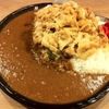 すたみなカレー肉増し