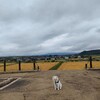 滋賀県最大級の古墳あかね古墳公園