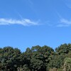 【日記】昨日の青空