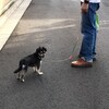 まろにー729日目