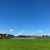 夏の土用入り～蝉が鳴き始めましたね　^ ^