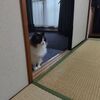 タイミーの人間関係の怖さと、電気工事デー。