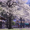 長良川鉄道の桜と高鷲スノーパーク