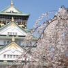 大阪の桜