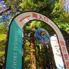 醒井養鱒場　紅葉ますまつり（再録）　