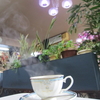 西宮激シブ喫茶店　３選　喫茶モカ　白い砂　とぴっく
