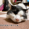 今年をくるっと振り返る