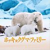 ホッキョクグマ・ファミリー