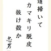 道掃いてカマキリ脱皮抜け殻か