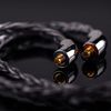 (News) FiiO Launches LC-RD Pro Pure Sterling Silver IEM Upgrade Cable