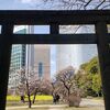 【東京都中央区  浜離宮恩賜庭園】高層ビル群と日本庭園が抜群にマッチ！早春の庭園に菜の花と梅を見に行こう