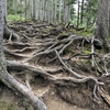 初めての一人登山