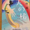 みをつくし料理帖　最終巻　「天の梯」読了♪