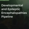 The Developmental and Epileptic Encephalopathies Innovation Path