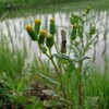 湿気が多い時は冷たいものを食べない
