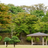 Sat.　千秋公園