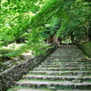 盛夏湖東百済寺その４　石垣と大わらじ