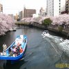 【花見】横浜大岡川桜祭り＆桜らーめん駿河＠黄金町