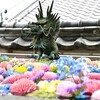 ４月８日（木）四国霊場花巡り（花手舎）、大阪「赤信号」点灯、池江璃花子１００m派遣標準タイムを超え準決勝