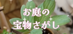 筆舌に尽くしがたいことこの上なし。の映像✨📺(*˘ー˘*)
