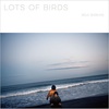 Koji Shibuya  ／ Lots of Birds