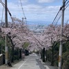 近鉄奈良線額田駅から石切駅までの桜を観てきました