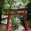 久々の花園神社