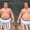 力士とは：栃錦「力のある紳士」。若乃花「代表的な日本人」