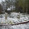 雪がふる
