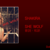 【歌詞・和訳】Shakira / She Wolf / シャキーラ / シー・ウルフ / アルバムタイトルトラック