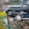 3月30日撮影記　桜×鉄道　その１