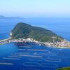 秋分の日シュノーケリングその3 柏島のU浜&竜ヶ浜そして秘密の某浜