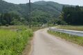 ヨスガノソラ モデル地再訪＆新規場所特定【栃木県足利市 樺崎八幡宮、他】